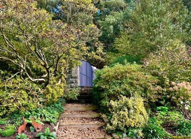 Bed and Breakfast Hares Hideaway At Coed Moelfa Corwen Zewnętrze zdjęcie